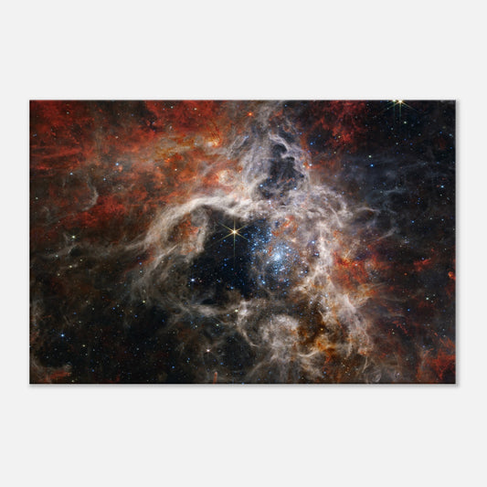 Tarantula Nebula JWST Astrophotography Canvas